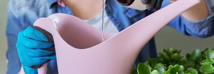 Person gießt Flüssigkeit aus Flasche in Gießkanne